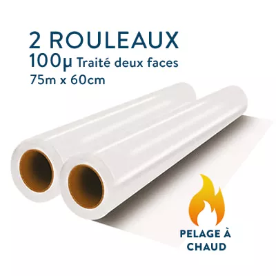 2 rouleaux films DTF pelage à chaud