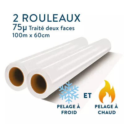 2 rouleaux film DTF transfert 